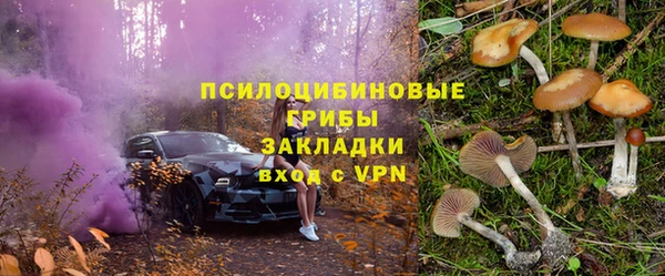 шишки Семилуки