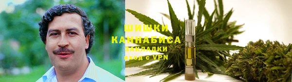 гидропоника Белоозёрский