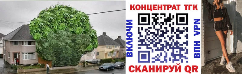 купить наркотики сайты  Кстово  ТГК Wax 